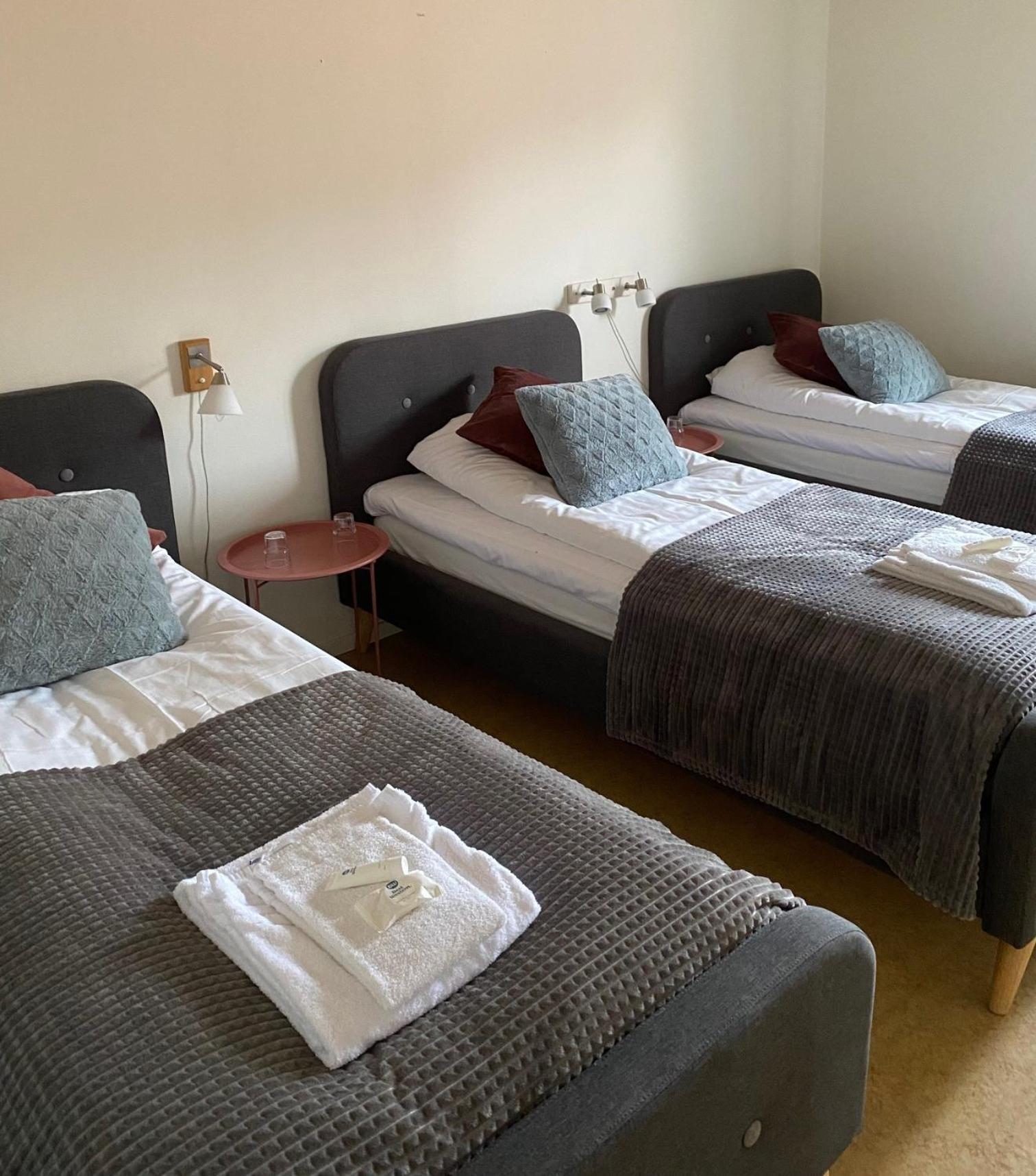 Snoea Bruk Hotell Och Konferens Dala-Jarna Zewnętrze zdjęcie