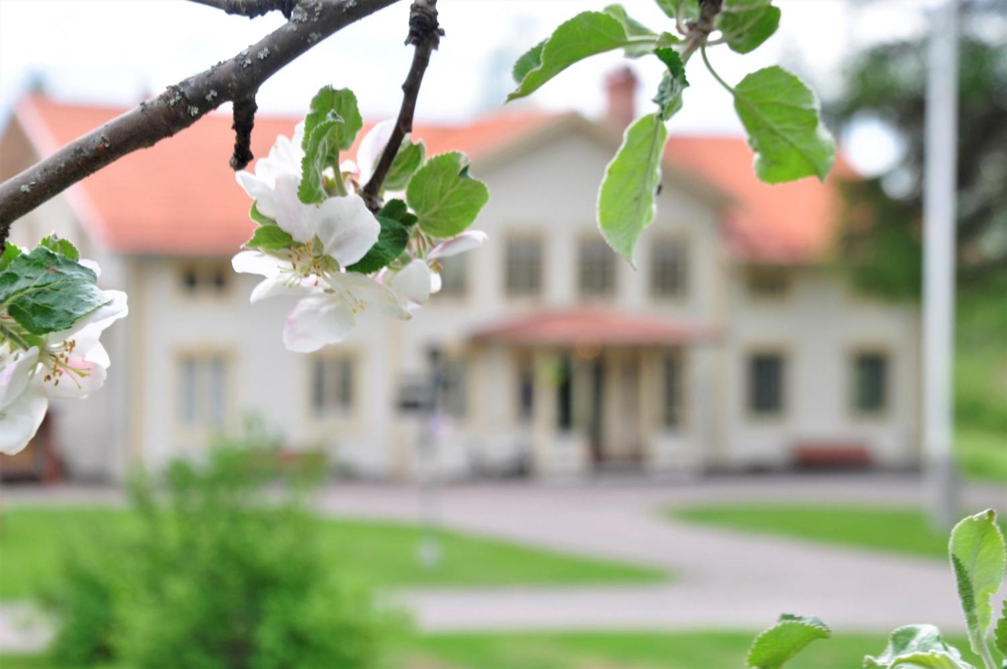 Snoea Bruk Hotell Och Konferens Dala-Jarna Zewnętrze zdjęcie